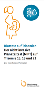 Flyer zum NIPT-Test